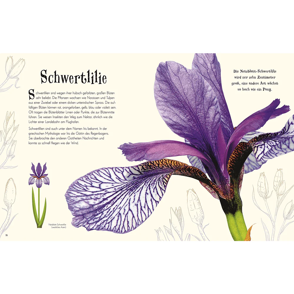 Wundervolle Welt der Natur - Image 3