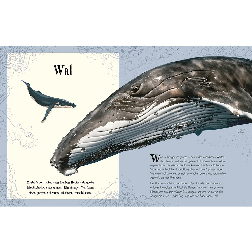 Wundervolle Welt der Tiere - Image 3