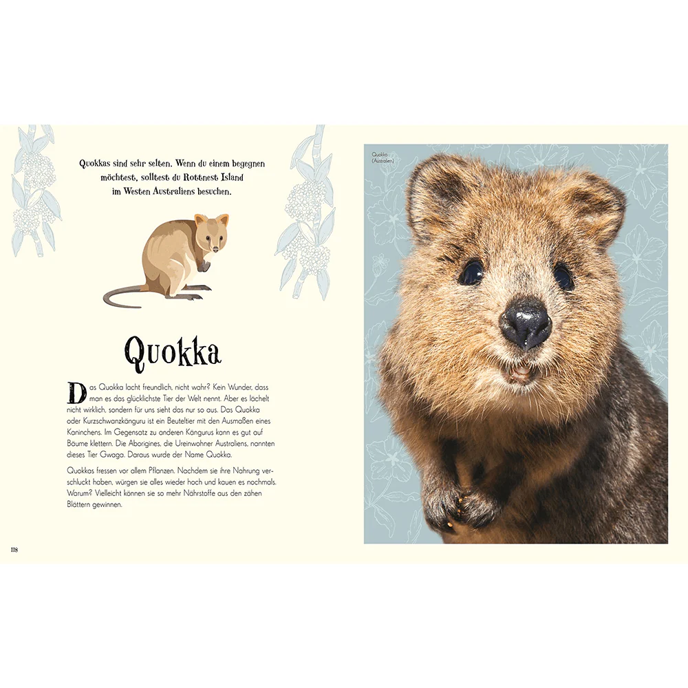 Wundervolle Welt der Tiere - Image 4