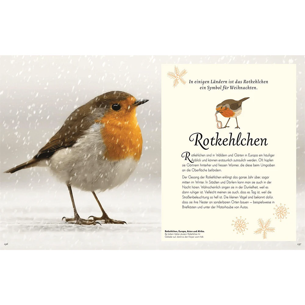 Wundervolle Welt der Vögel - Image 3