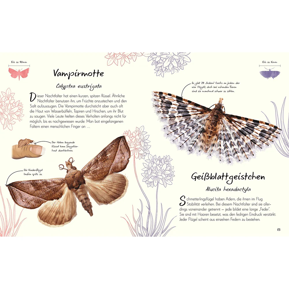 Wundervolle Welt – Kleine Schätze. Schmetterlinge - Image 3