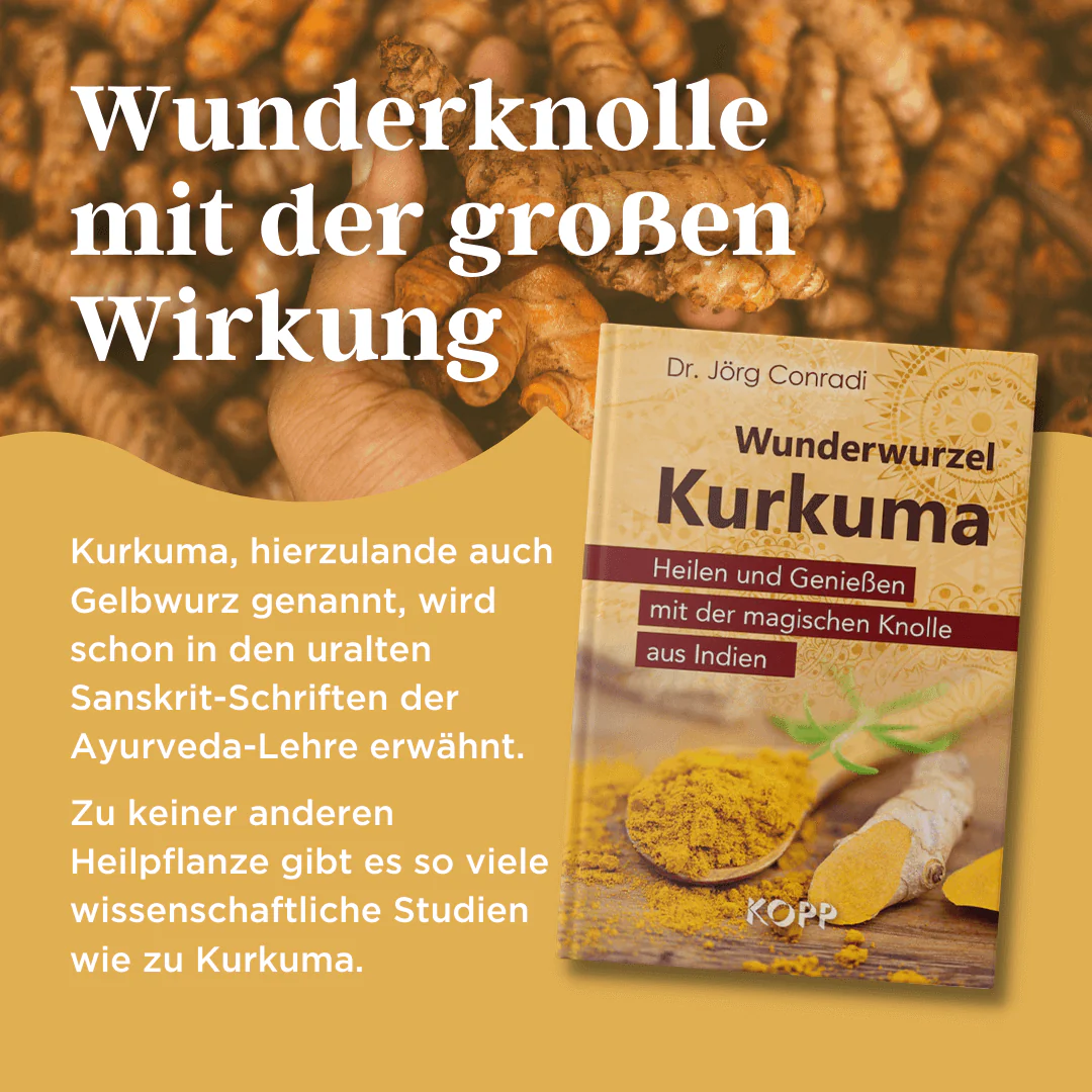Wunderwurzel Kurkuma - Image 2