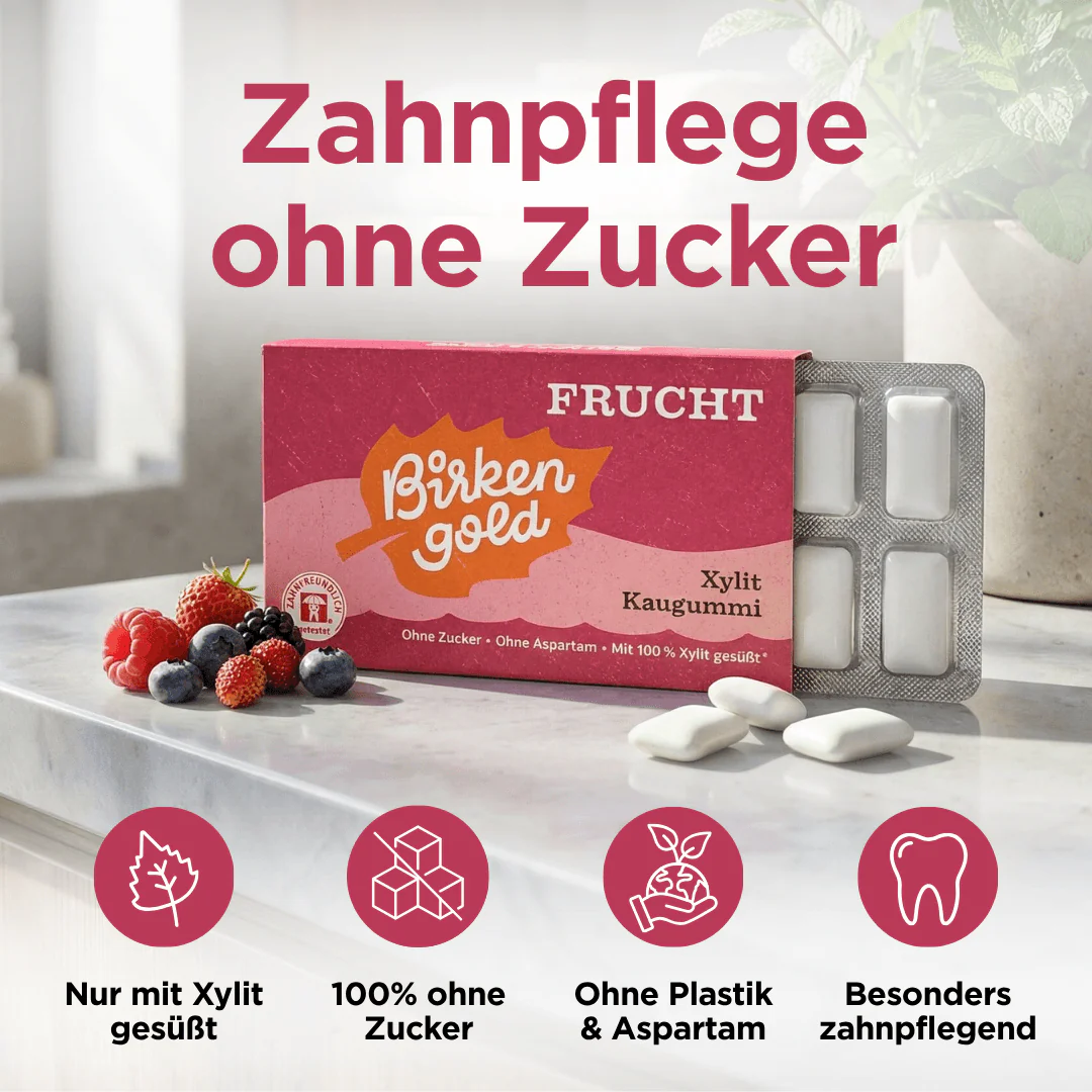 Xylit Kaugummi Frucht - Image 3