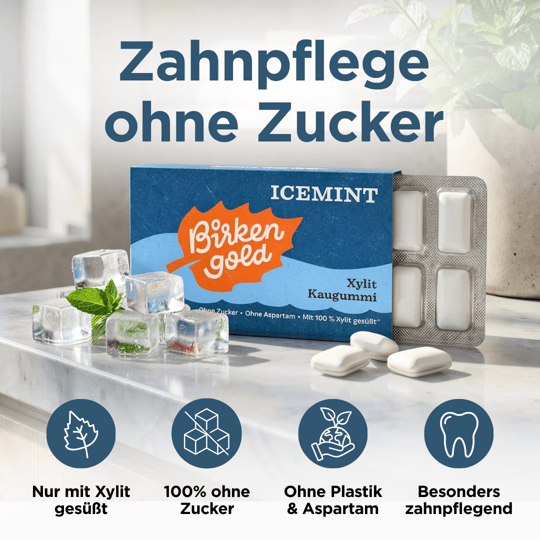Xylit Kaugummi Icemint - Image 3