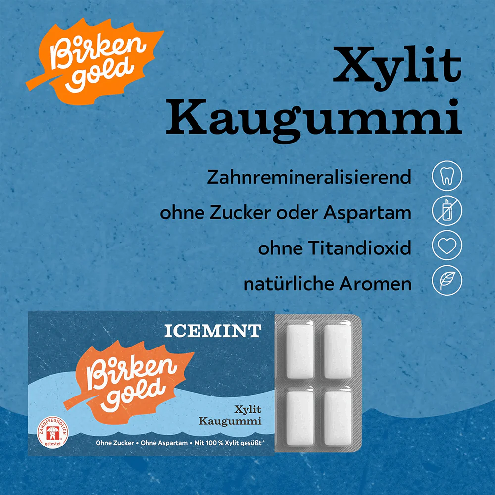Xylit Kaugummi Icemint - Image 5