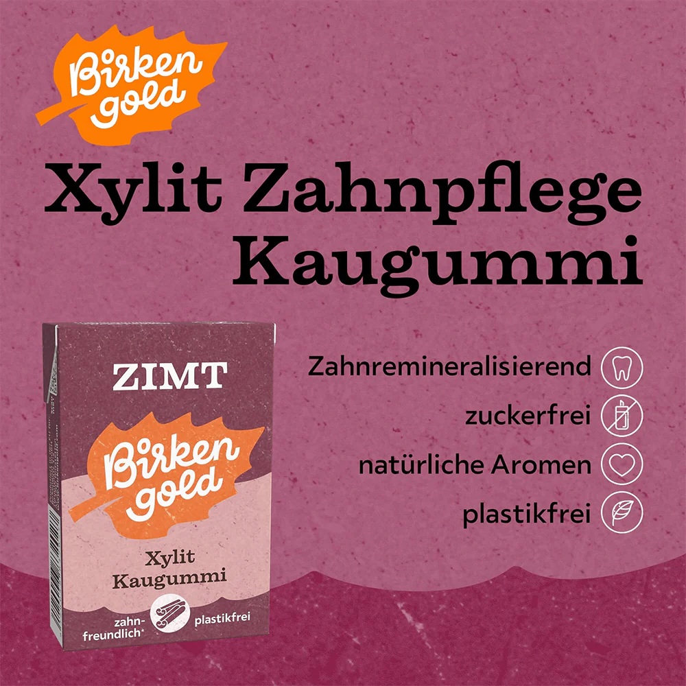 Xylit Kaugummi Zimt - Image 5