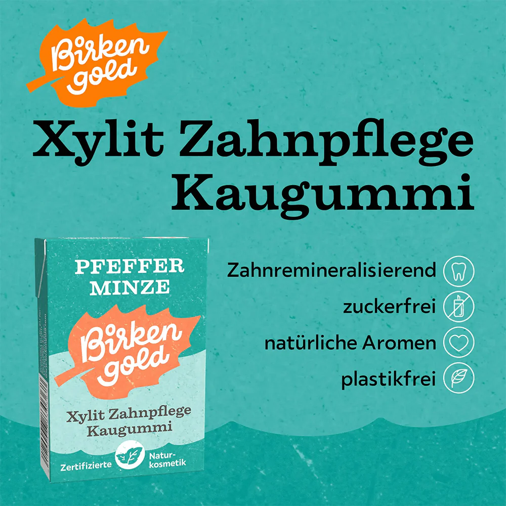 Xylit Zahnpflege Kaugummi Pfefferminze - Image 5