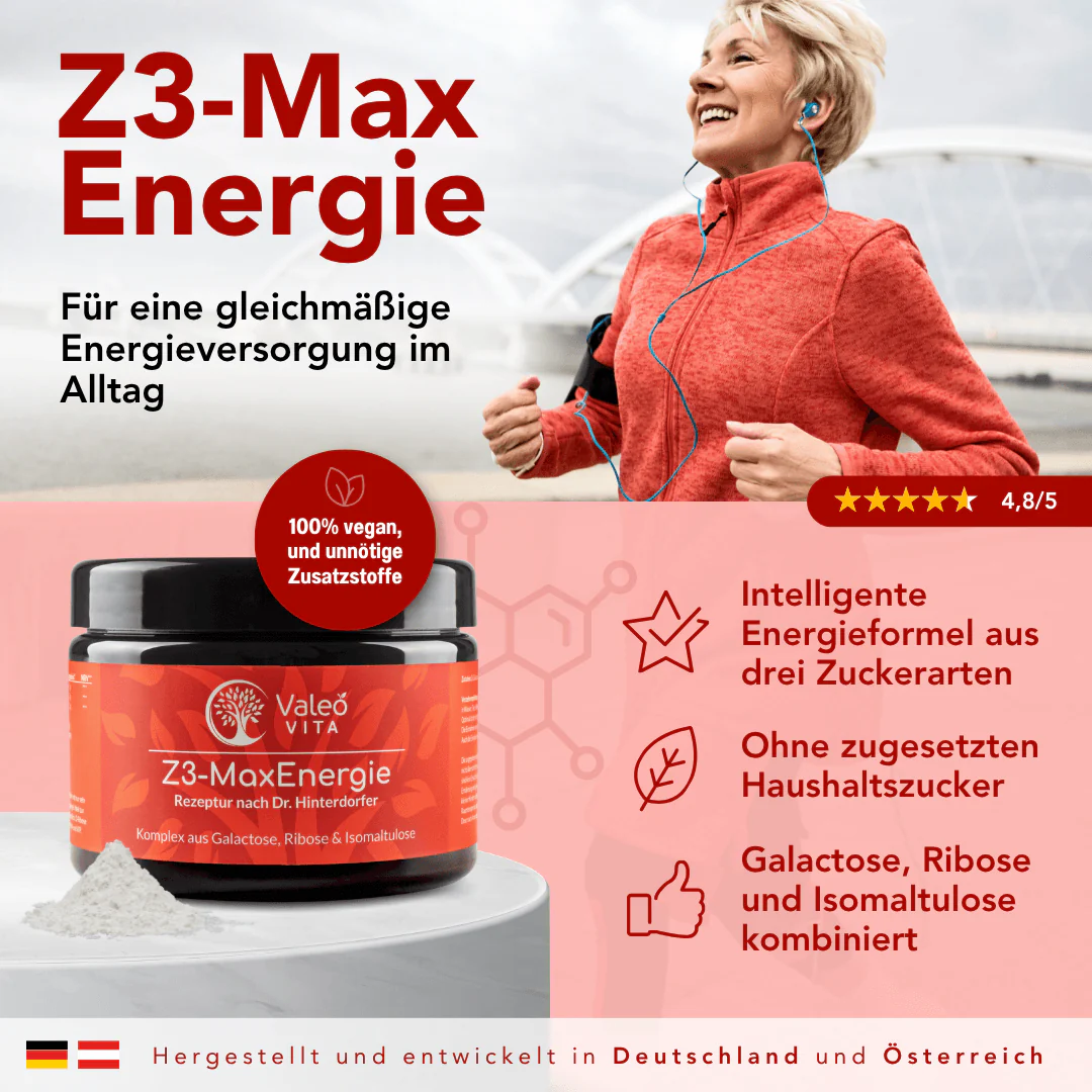 Z3-MaxEnergie - Image 2