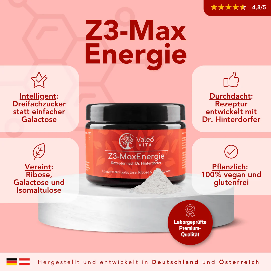 Z3-MaxEnergie - Image 3