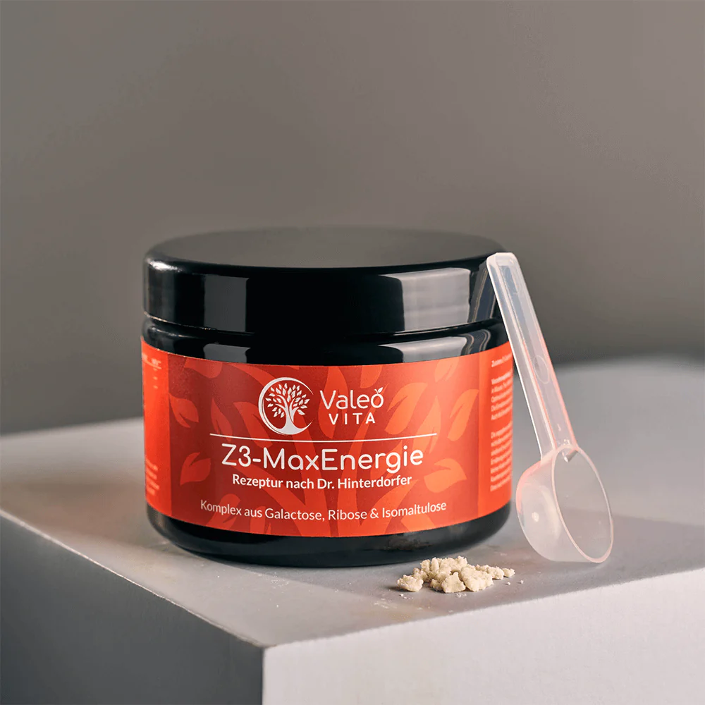 Z3-MaxEnergie - Image 4