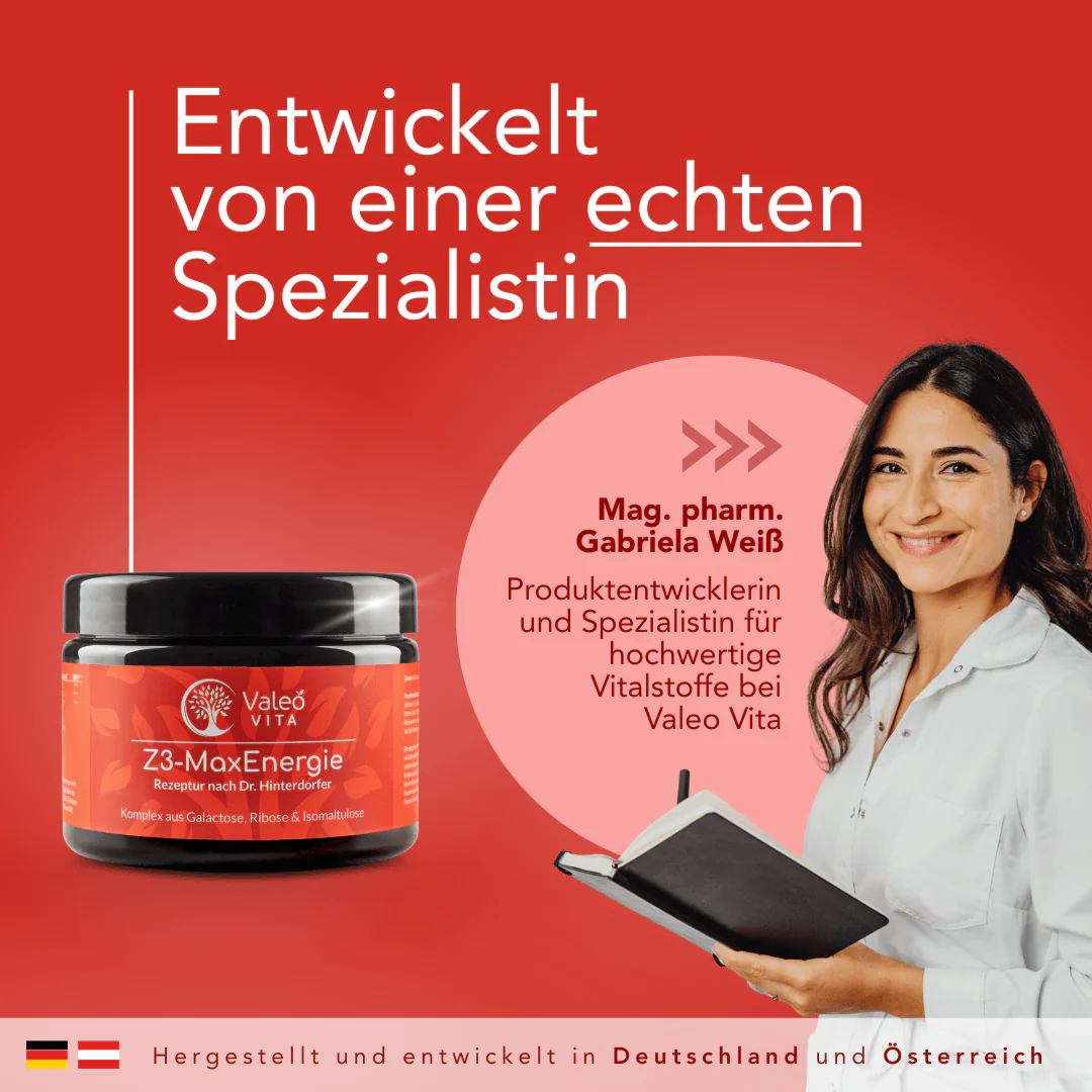 Z3-MaxEnergie - Image 5