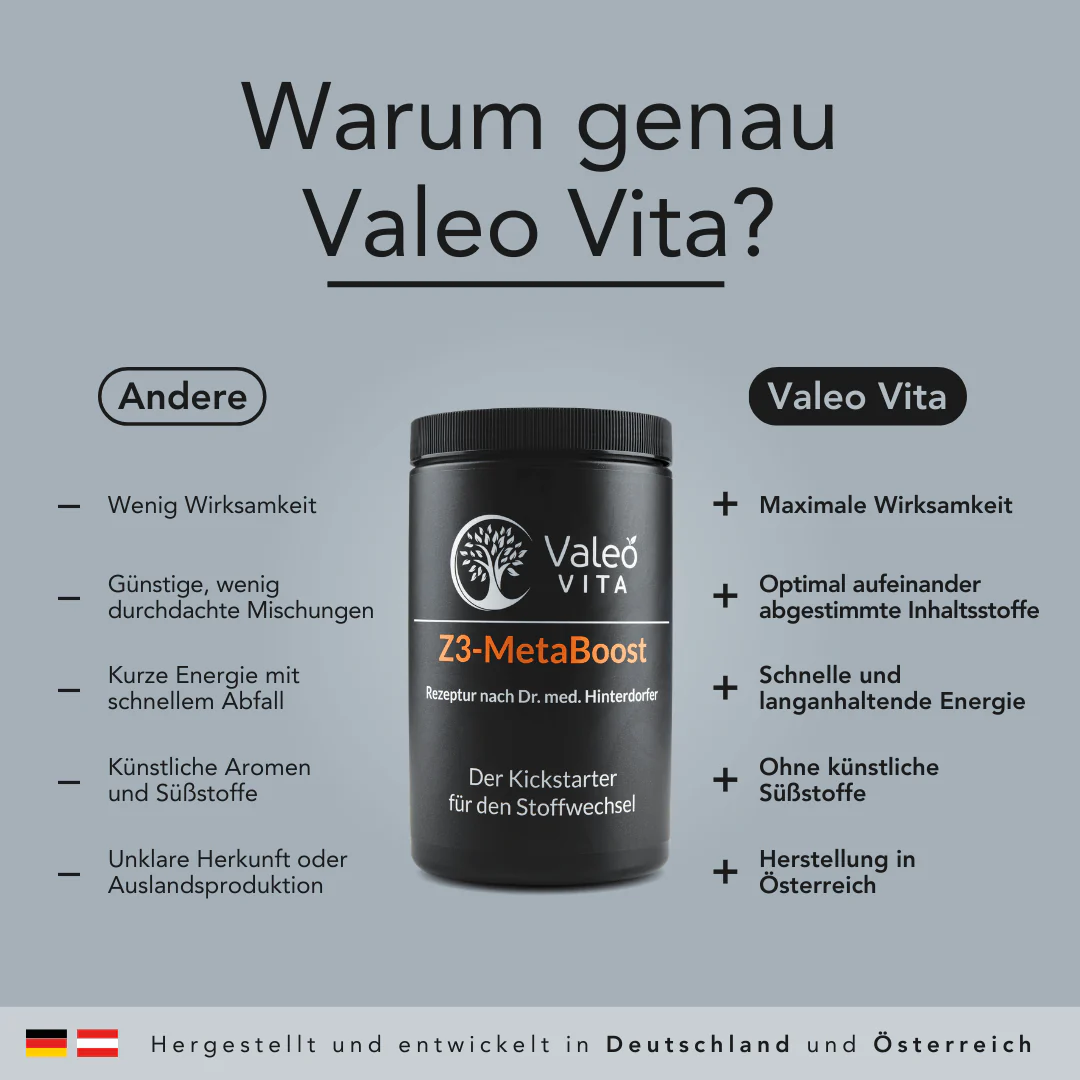 Z3-MetaBoost - Image 3