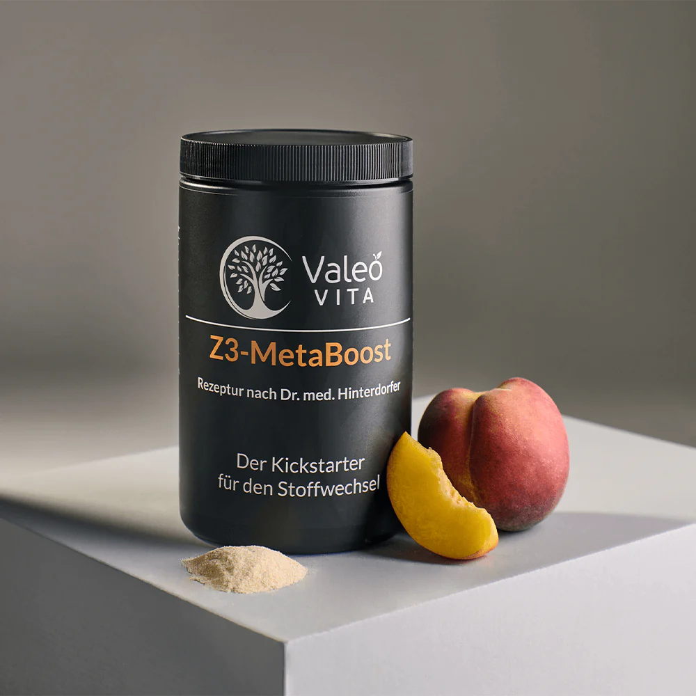 Z3-MetaBoost - Image 4