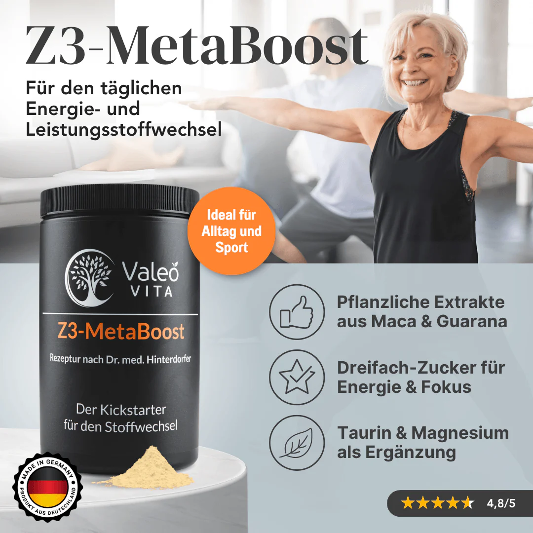 Z3-MetaBoost - Image 5