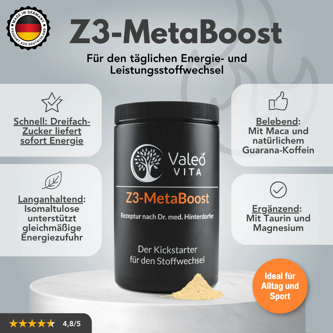 Z3-MetaBoost - Image 6